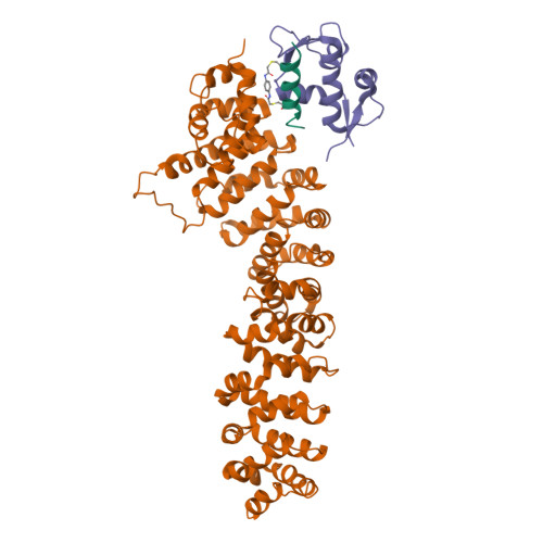 RCSB PDB 8EI9 Crystal Structure Of Beta Catenin And The MDM2 P53