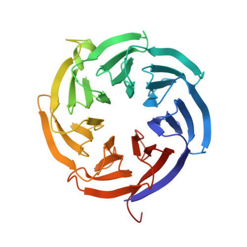 Rcsb Pdb Eny Crystal Structure Of Alpha Copi Wd Domain R A Mutant