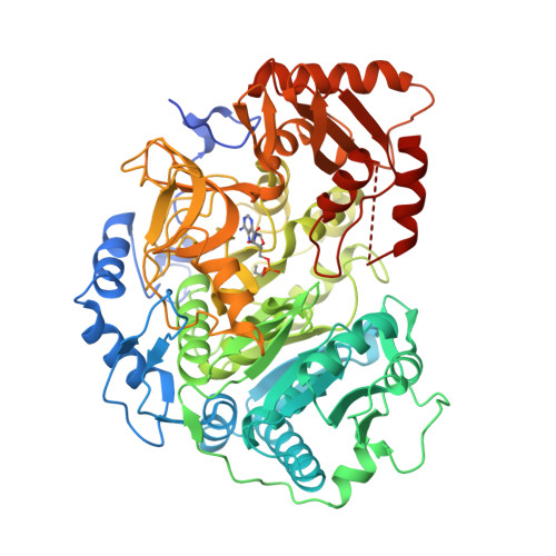 Rcsb Pdb Eps Crystal Structure Of Acetyl Coa Synthetase In Complex