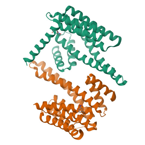 RCSB PDB 8EQH The Crystal Structure Of 14 3 3 Beta Containing 3