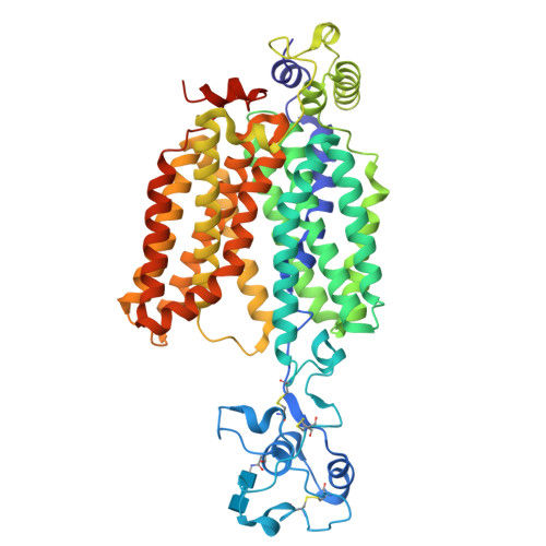 RCSB PDB 8ET6 Cryo EM Structure Of The Organic Cation Transporter 1