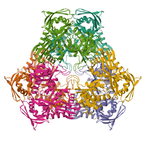 Rcsb Pdb F Crystal Structure Of Acetyltransferase Eis From M