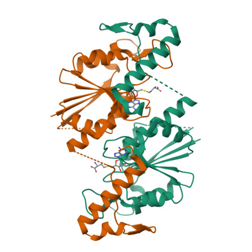 RCSB PDB 8FCI TRNA N1G37 Methyltransferase TrmD Of Mycobacterium