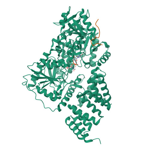 RCSB PDB 8FE7 Crystal Structure Of Human O GlcNAc Transferase OGT