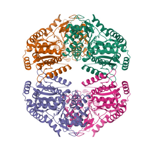 RCSB PDB 8FO1 Cryo EM Structure Of Cryptococcus Neoformans Trehalose