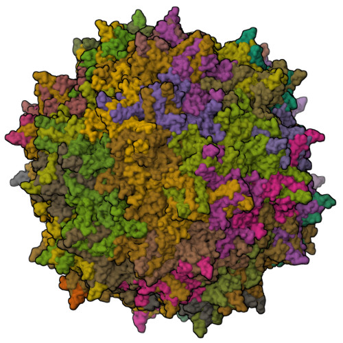 RCSB PDB 8FZ0 Cryo EM Structure Of Empty AAV2 Capsid