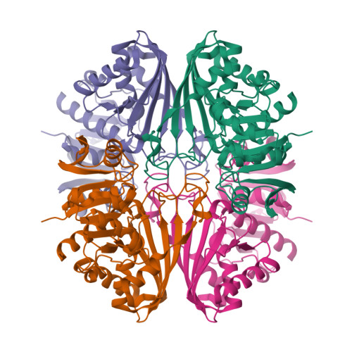 Rcsb Pdb G Cryoem Structure Of Wild Type Gapdh