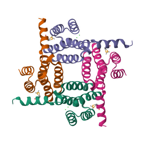 Rcsb Pdb G Crystal Structure Of The C Terminal Fragment Of Aaa