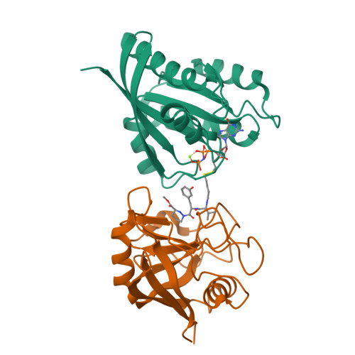 Rcsb Pdb G Q Tricomplex Of Compound Kras G C And Cypa