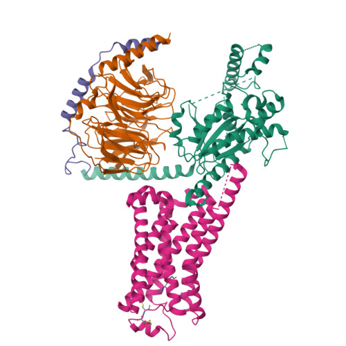 Rcsb Pdb Gee Cryoem Structure Of Beta Adrenergic Receptor In