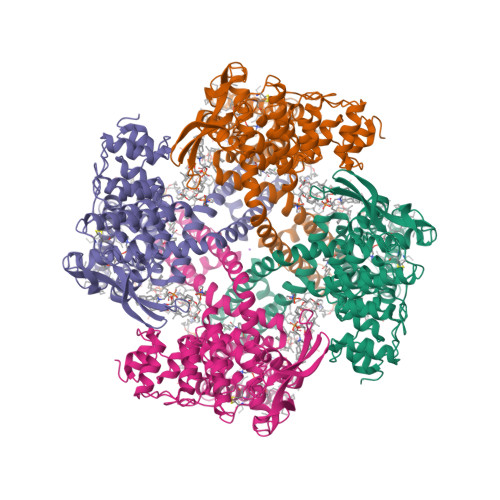 Rcsb Pdb Gfa Cryo Em Structure Of Human Trpv In Complex With The