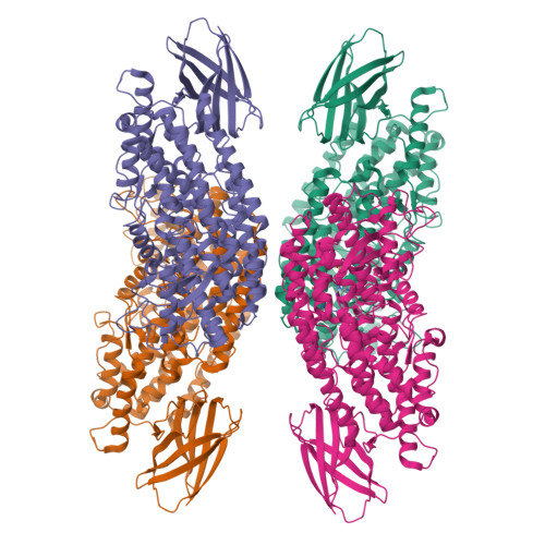 Rcsb Pdb Ghe The Structure Of H Lox In Tetrameric Form Bound To