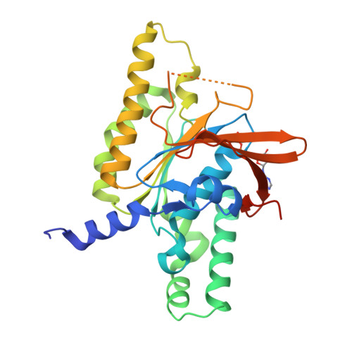 Rcsb Pdb Gj Rad C C Terminal Domain