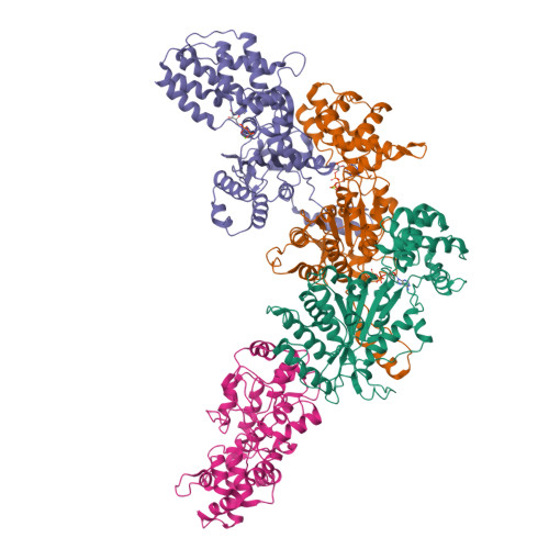 RCSB PDB 8GLU CryoEM Structure Of TnsC 1 503 Bound To TnsD 1 318