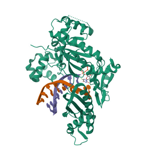 Rcsb Pdb Gml Crystal Structure Of Human Dna Polymerase Eta