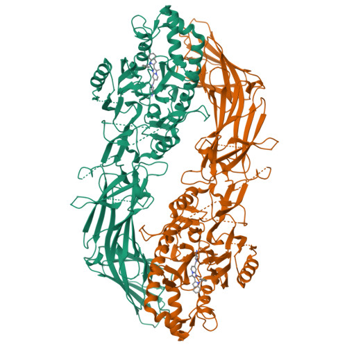 RCSB PDB 8GOD Co Crystal Structure Of Human Protein Arginine