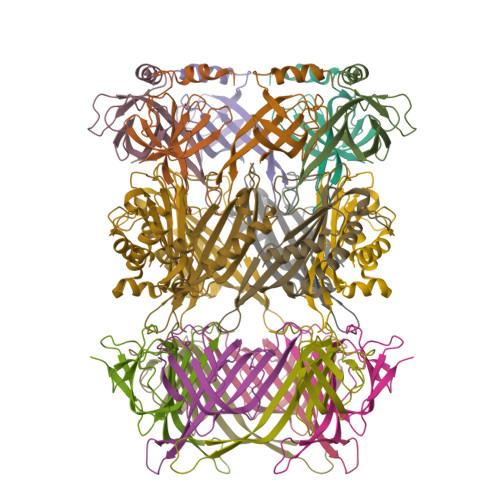 RCSB PDB 8GTF Cryo EM Model Of The Marine Siphophage VB DshS R4C