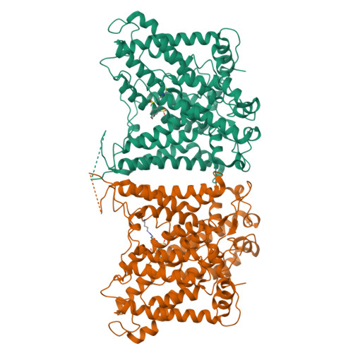 RCSB PDB 8GV8 The Cryo EM Structure Of HAE2 With DIDS