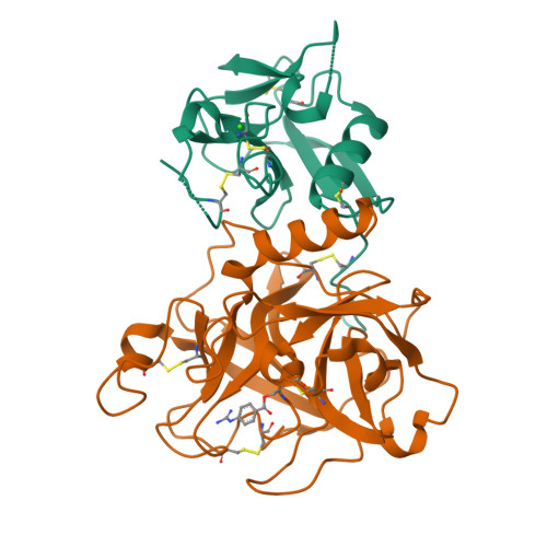 RCSB PDB 8HD8 Crystal Structure Of TMPRSS2 In Complex With 212 148