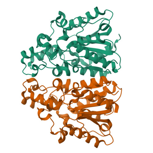 RCSB PDB 8HFW The Crystal Structure Of Alpha Beta Fold Hydrolase