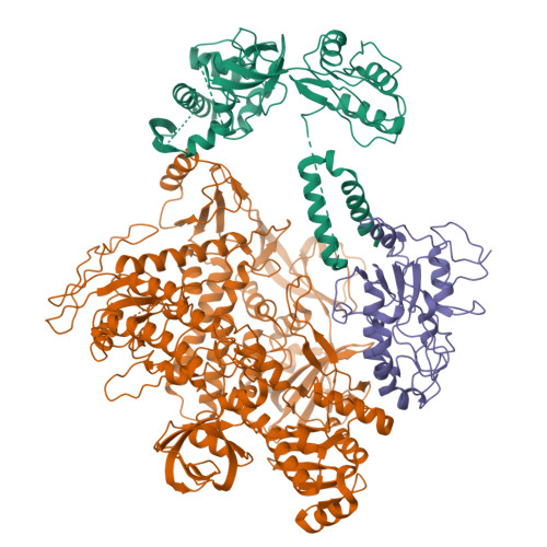 Rcsb Pdb Hm F A E Complex Of Mpxv In Trimeric Form