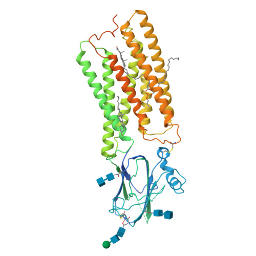 RCSB PDB 8HSI Cryo EM Structure Of Human TMEM87A PE Bound