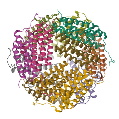 Rcsb Pdb Hx Focused Cryo Em Map Of Msdps From Msdps Dna Complex