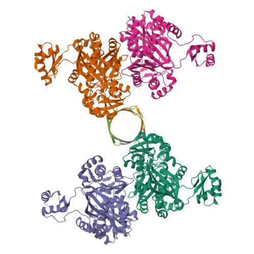 Rcsb Pdb Hz The Tetrameric Structure Of Biotin Carboxylase From