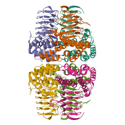 Rcsb Pdb I Crystal Structure Of Serine Acetyltransferase From