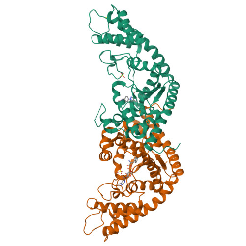 RCSB PDB 8I2M The Crystal Structure Of Homodimeric E Coli