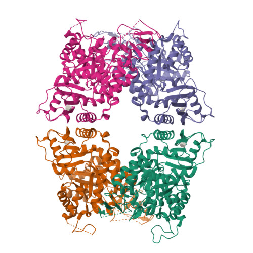 RCSB PDB 8IAV Crystal Structure Of Streptococcus Pneumoniae Pyruvate