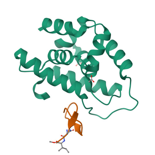 RCSB PDB 8IBO Crystal Structure Of Wild Type Mycobacterium