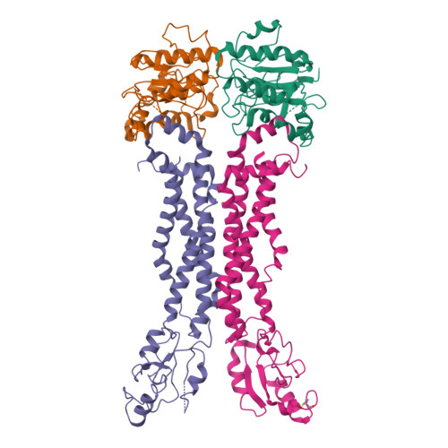 Rcsb Pdb Idb Cryo Em Structure Of Mycobacterium Tuberculosis Ftsex