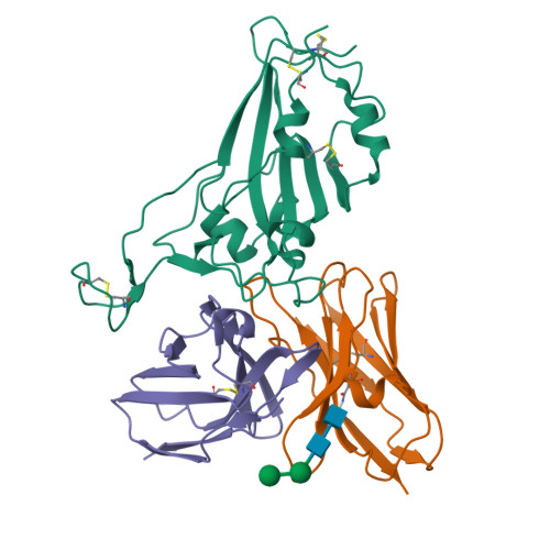 RCSB PDB 8IDN Cryo EM Structure Of RBD E77 Fab Complex