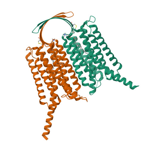 Rcsb Pdb Iei Cryo Em Structure Of Gpr A B Of G Protein Free