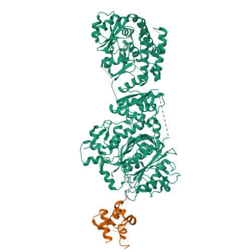 RCSB PDB 8IN9 The Structure Of The GfsA KSQ AT Didomain In Complex