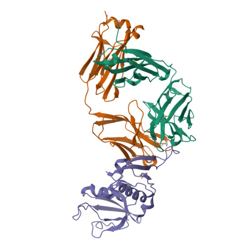 Rcsb Pdb Ipc The Recombinant Nz Fab Complexed With The Pdz Tandem