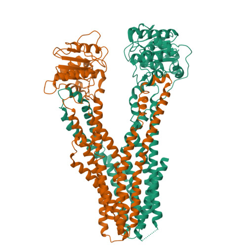 Rcsb Pdb Ipq Cryo Em Structure Of Heme Transporter Cyddc From