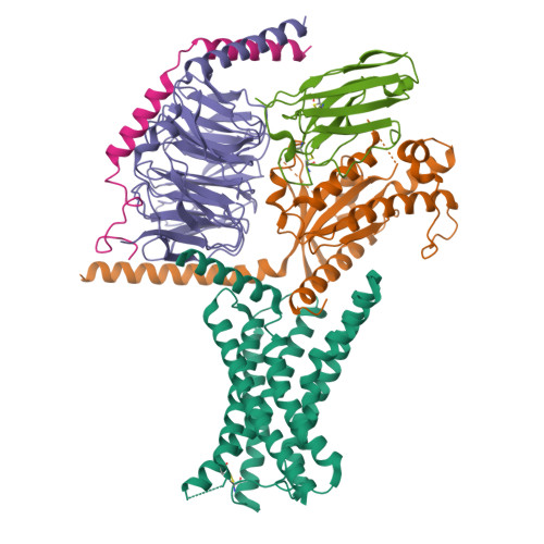 Rcsb Pdb Itm Cryo Em Structure Of Gipr Splice Variant Sv In