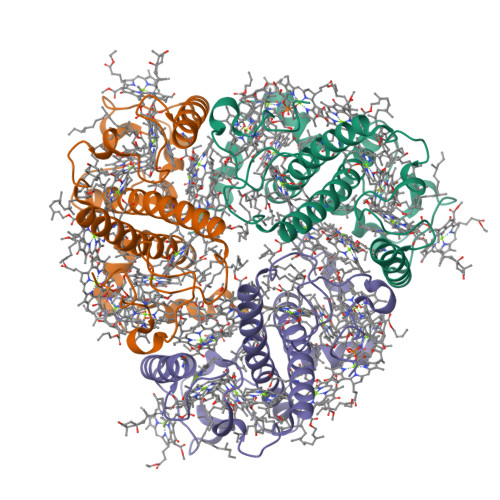 Rcsb Pdb Iwx Cryo Em Structure Of Unprotonated Lhcii In Detergent