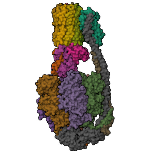 RCSB PDB 8J0S Cryo EM Structure Of Mycobacterium Tuberculosis ATP