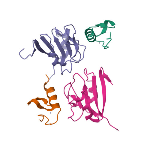 Rcsb Pdb J Crystal Structure Of Oy Phytoplasma Sap In Complex