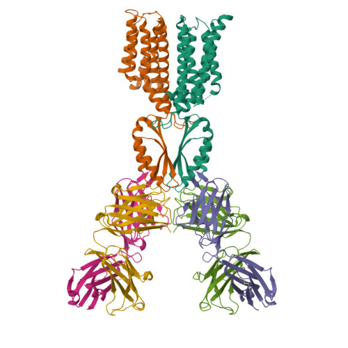 RCSB PDB 8J7W Cryo EM Structure Of HZnT7 Fab Complex In Zinc State 2