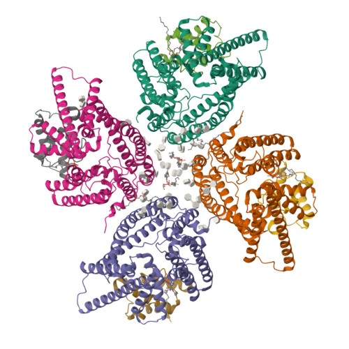 Rcsb Pdb Jf Cryo Em Structure Of Tetrameric Dltb Dltc Complex