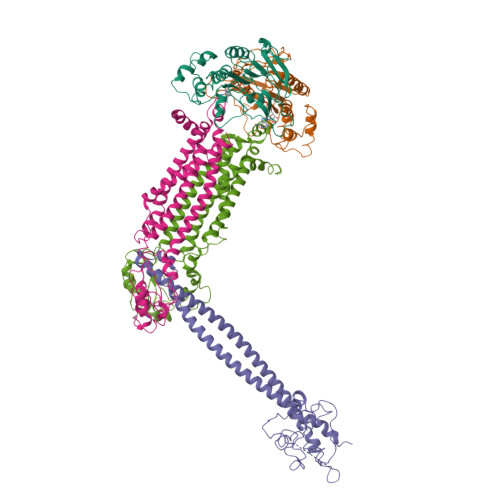 Rcsb Pdb Jia Cryo Em Structure Of Mycobacterium Tuberculosis Atp