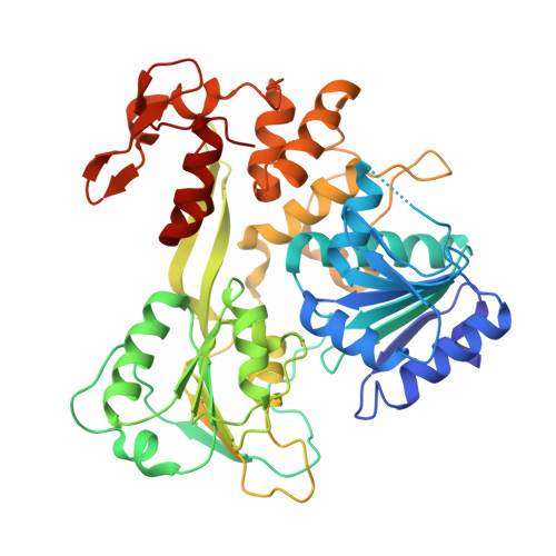 RCSB PDB 8JIX Crystal Structure Of The Bagaza Virus Helicase And