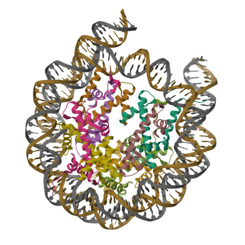 RCSB PDB 8JLA Cryo EM Structure Of The Human Nucleosome Lacking N