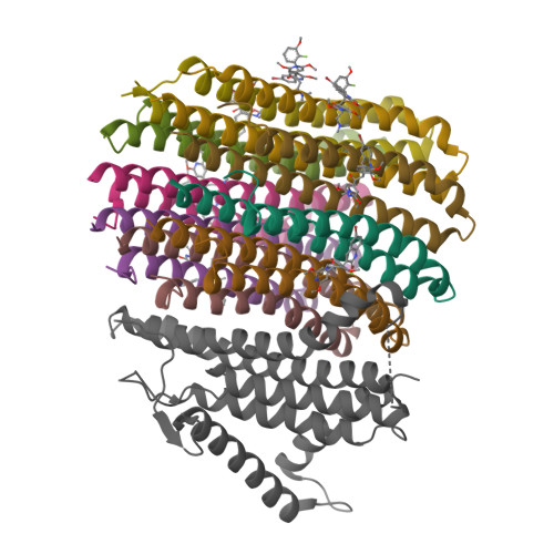 Rcsb Pdb Jr Cryo Em Structure Of Mycobacterium Tuberculosis Atp