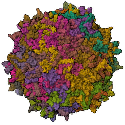 Rcsb Pdb Jre Cryo Em Structure Of A Designed Aav Based Vector