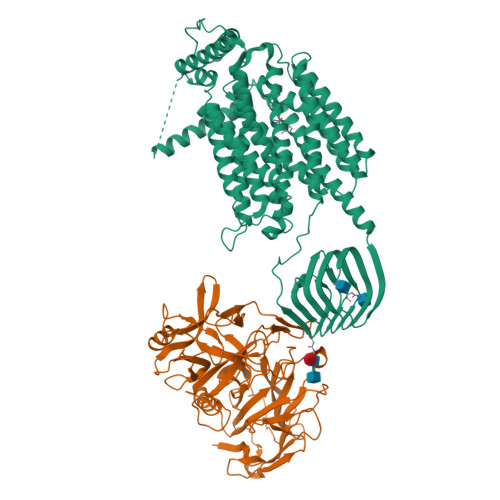 Rcsb Pdb Js Cryo Em Structure Of Sv A In Complex With Bont A Hc